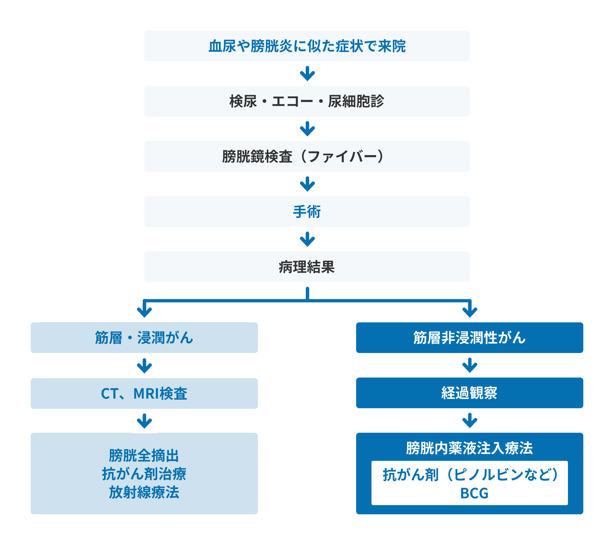 下部尿路上皮癌（膀胱がん）治療